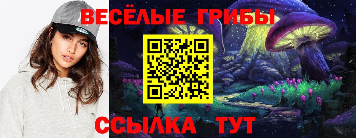 Галлюциногенные грибы Psilocybe  Галлюциногенные грибы ЛСД  Вход с VPN  Коркино 